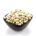 CHINA new crop BEST white kidney beans for wholesale